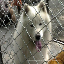 China Industrielles Hundehaus-Hundekäfige und anderes Geflügel-Haus